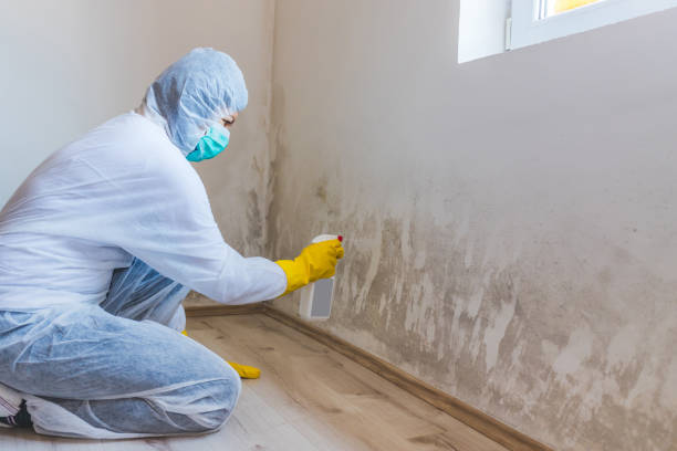 Licensed Crawl Space Mold Remediation service in Bergenfield, NJ - 24 Hour Mold Removal