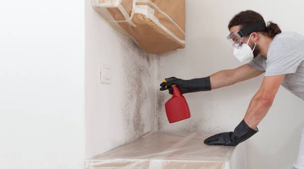 Professional Crawl Space Mold Remediation technician working in Bergenfield, NJ