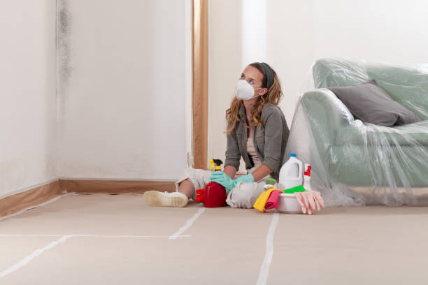 Reliable Crawl Space Mold Remediation contractor in Bergenfield, NJ by 24 Hour Mold Removal