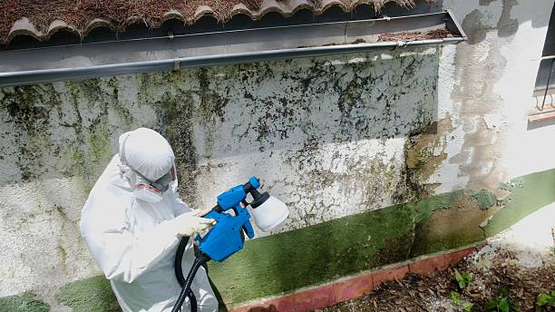 Top rated local Crawl Space Mold Remediation specialists in Bergenfield, NJ